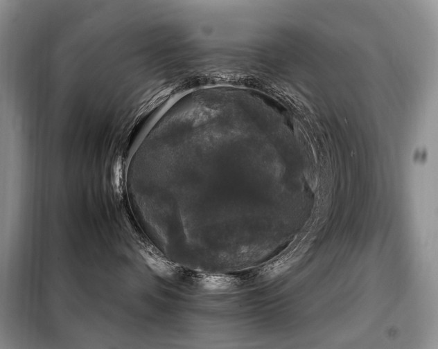 X0000099290336200805021237