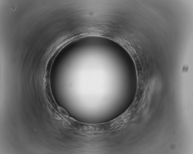 X0000099290338200805021236