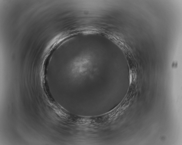 X0000099290339200805021236