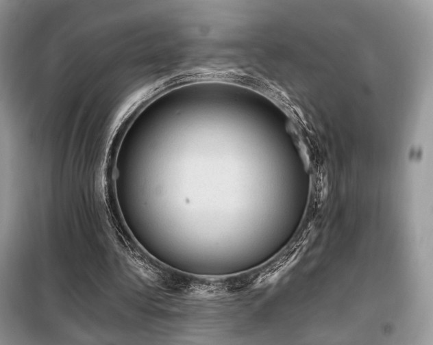 X0000099290340200805021236