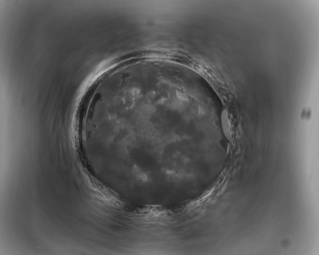 X0000099290343200805021236