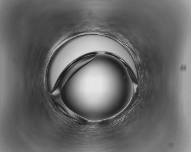 X0000099290344200805021236