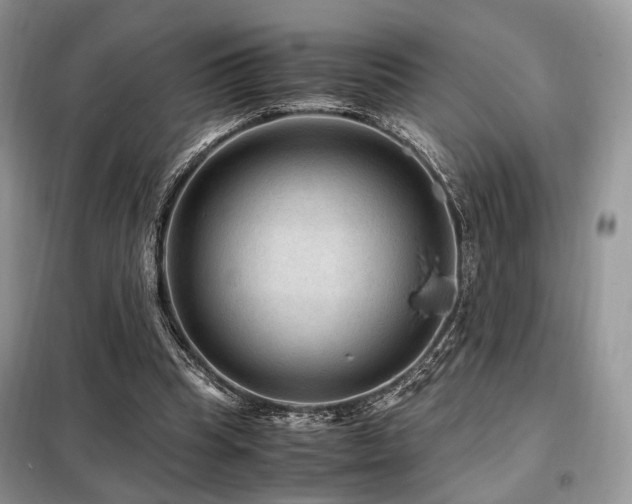 X0000099290345200805021236
