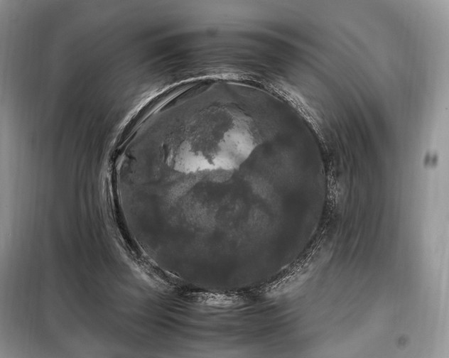 X0000099290347200805021237