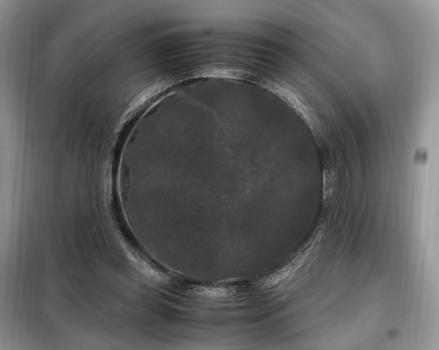 X0000099290349200805021237