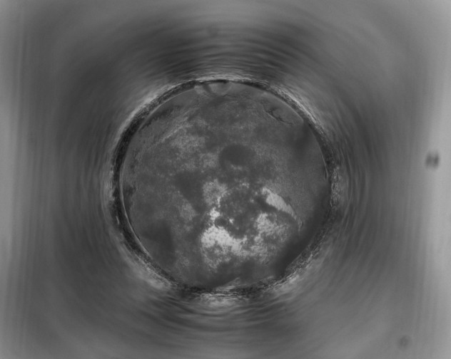 X0000099290351200805021237