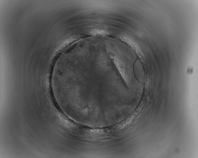 X0000099290353200805021237
