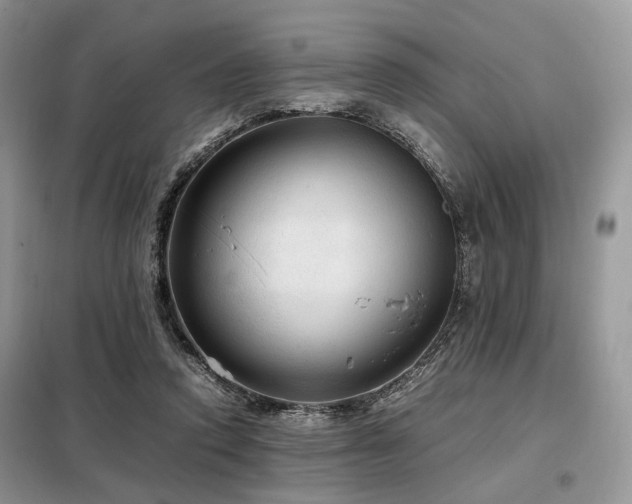 X0000099290354200805021237