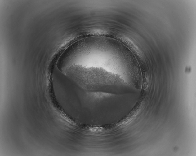 X0000099290355200805021237