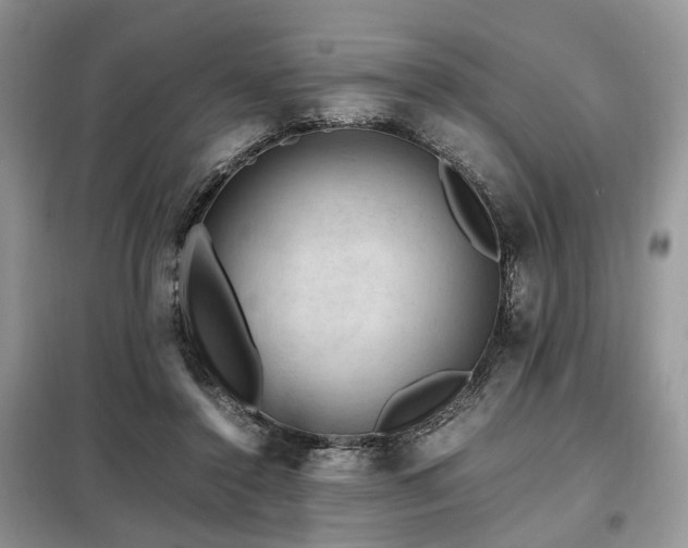 X0000099290356200805021237