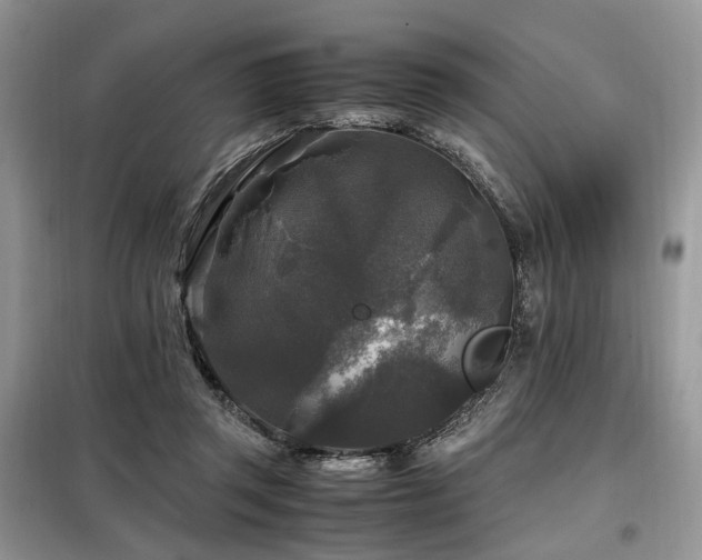 X0000099290357200805021237