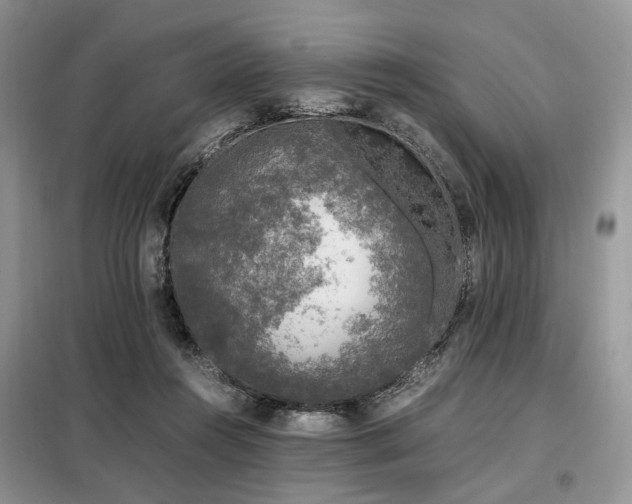 X0000099290360200805021237