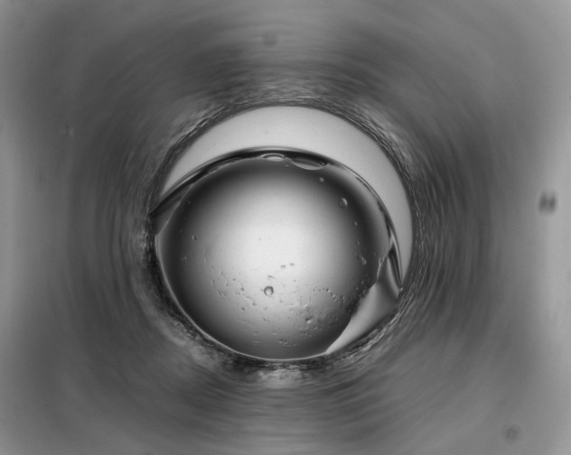 X0000099290362200805021237
