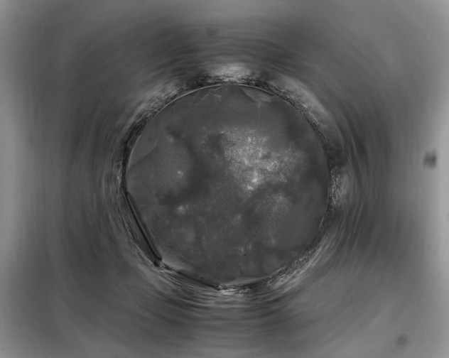 X0000099290365200805021237