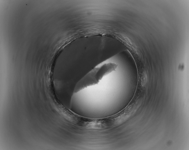 X0000099290366200805021237