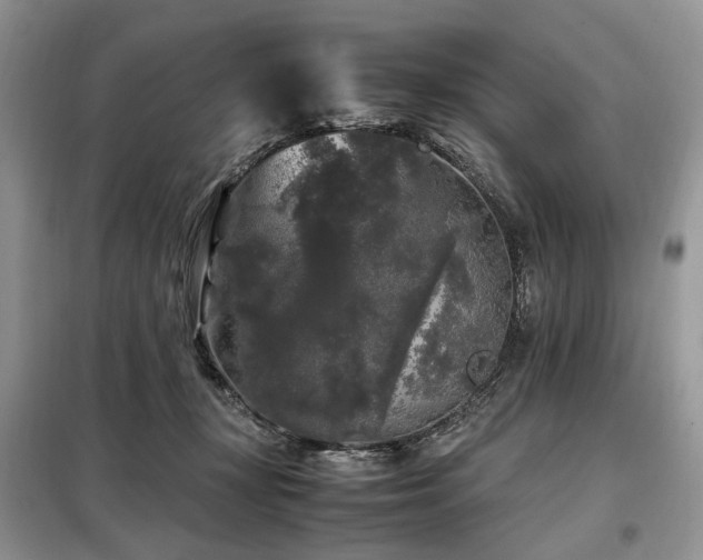 X0000099290367200805021237