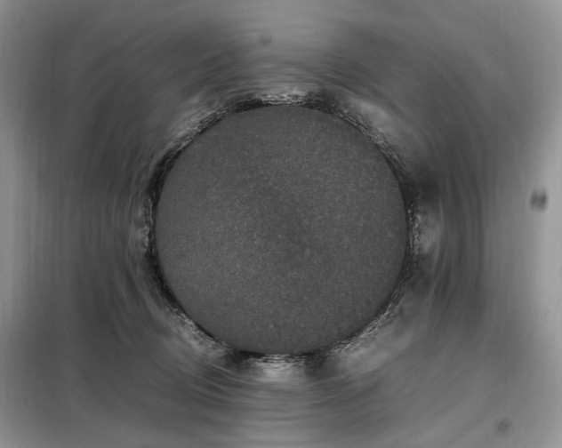 X0000099290370200805021237