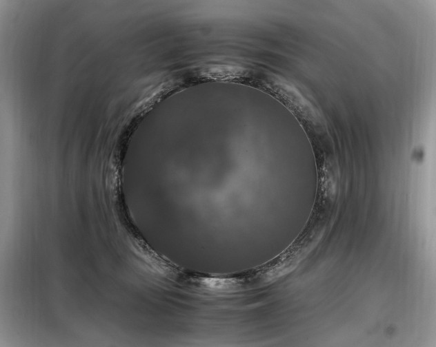 X0000099290371200805021237