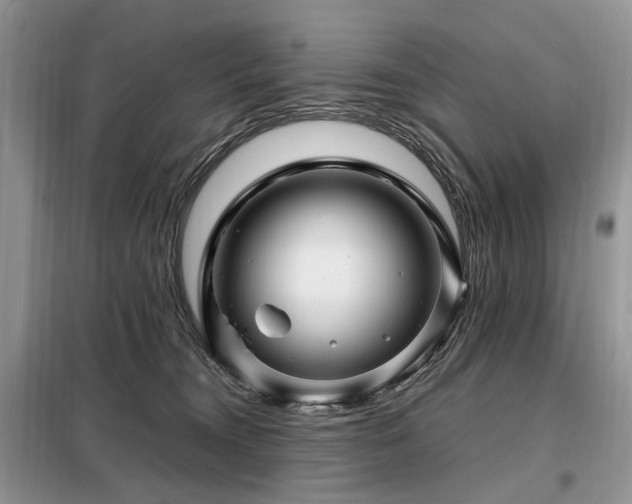 X0000099290372200805021237
