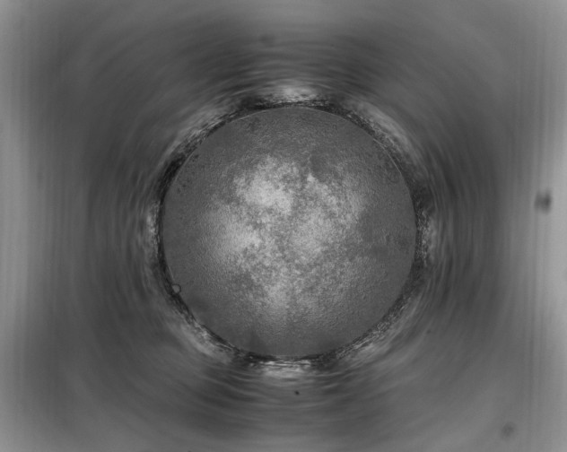 X0000099290373200805021237