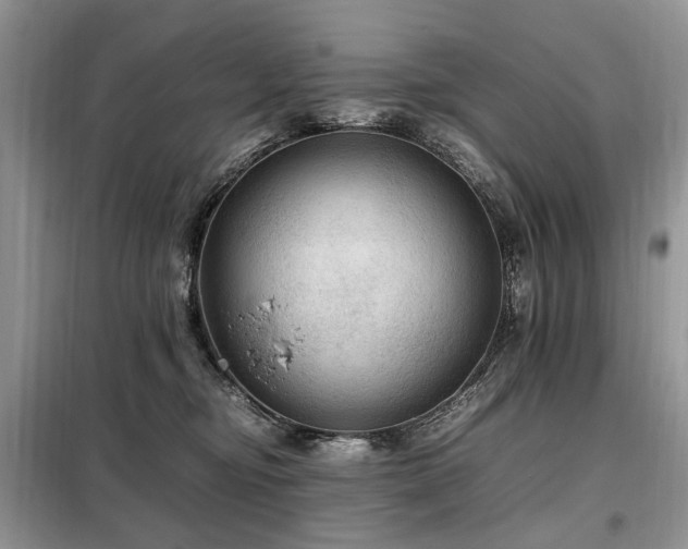X0000099290374200805021237