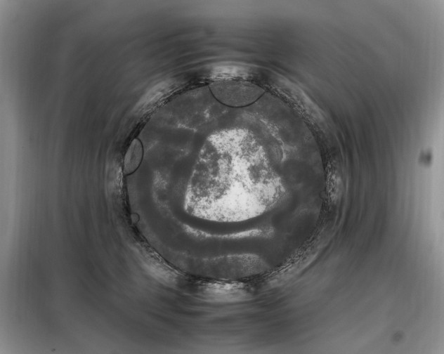 X0000099290375200805021237