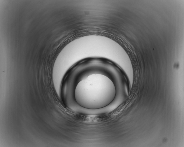 X0000099290376200805021237