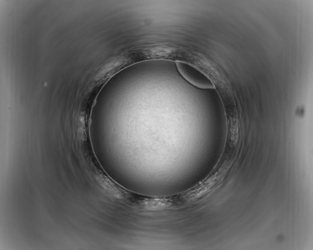 X0000099290378200805021237