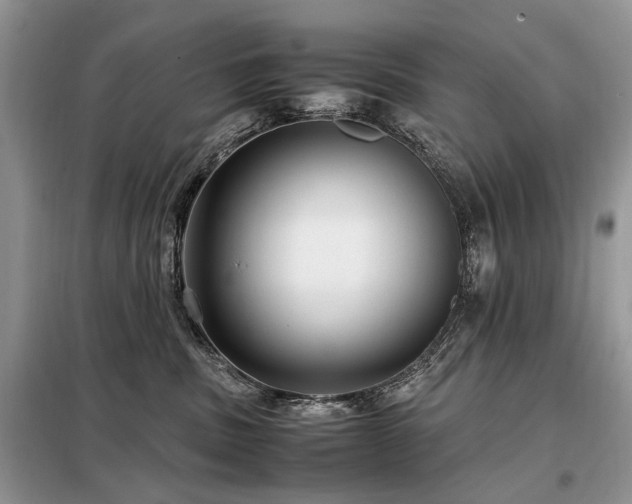 X0000099290379200805021237
