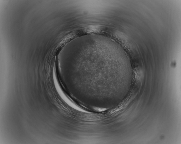 X0000099290380200805021237
