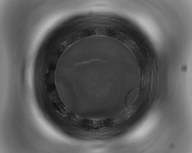 X0000099290383200805021237