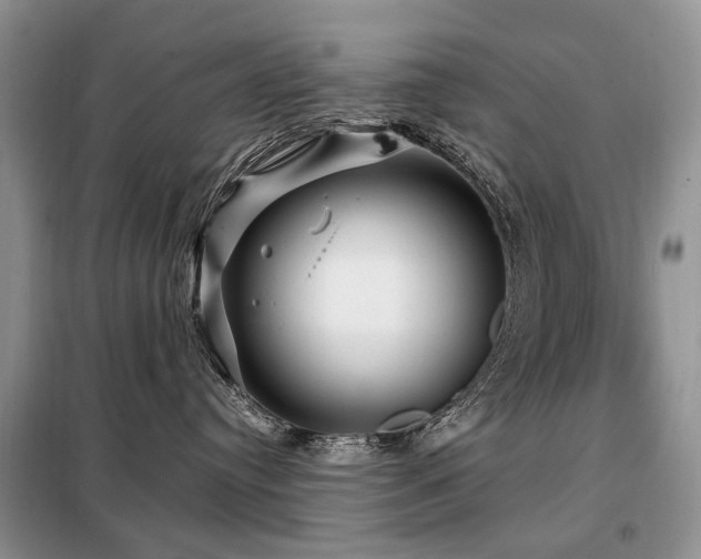 X0000099290384200805021237