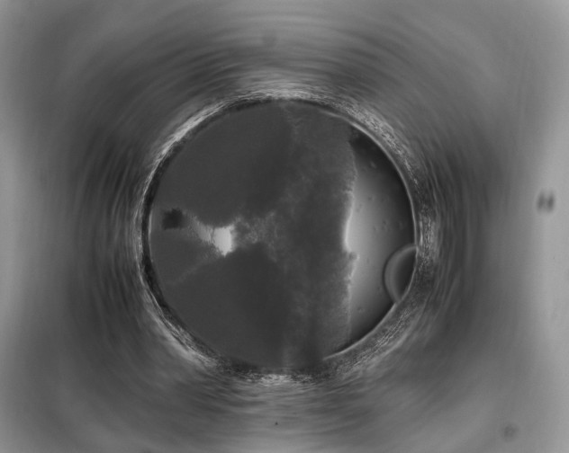 X0000099290390200805021236