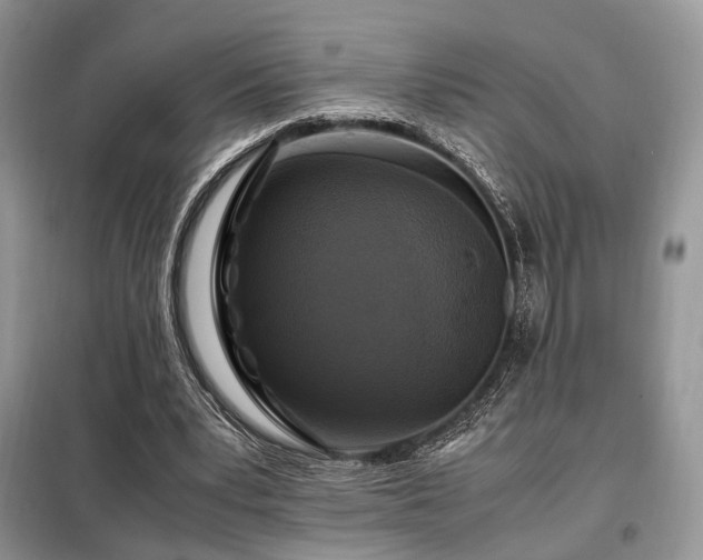 X0000099290391200805021236
