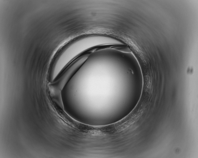 X0000099290392200805021236