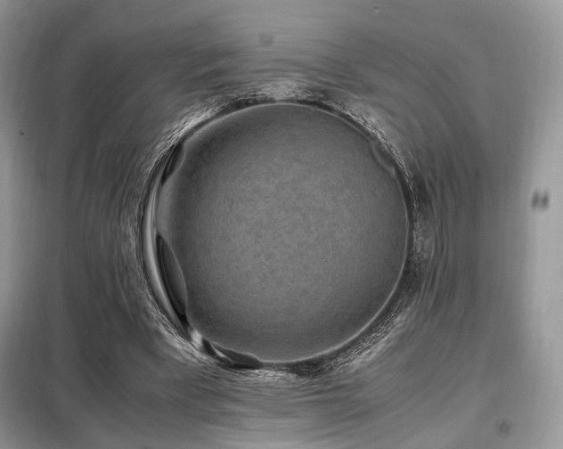 X0000099290393200805021236