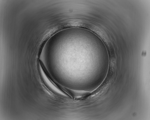 X0000099290397200805021236
