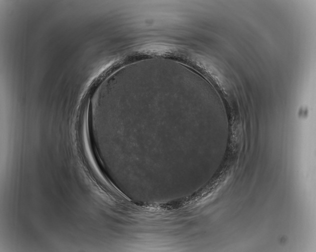X0000099290399200805021236