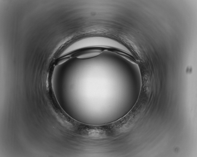 X0000099290400200805021236