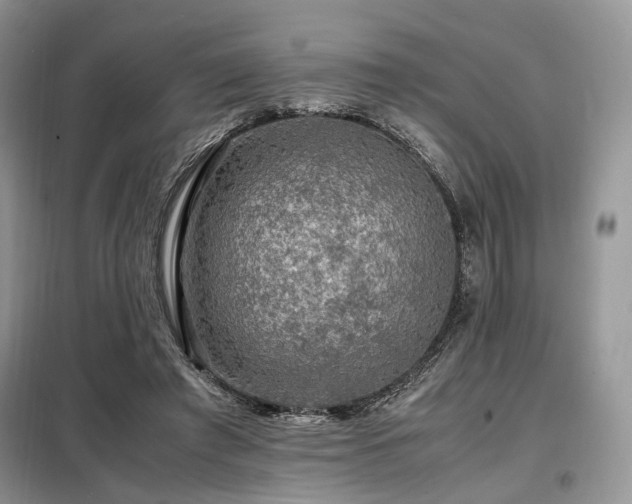 X0000099290401200805021236