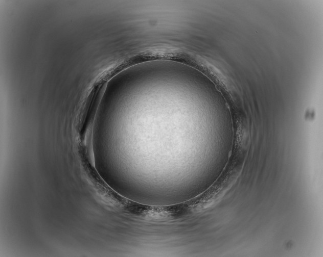 X0000099290403200805021236