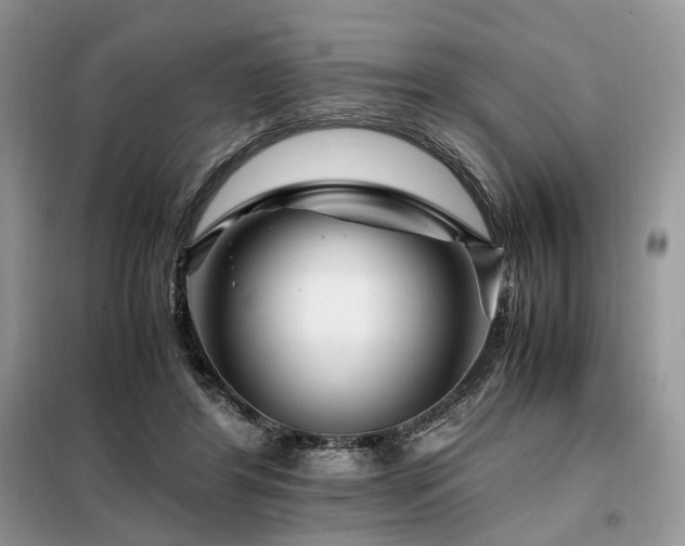 X0000099290404200805021236