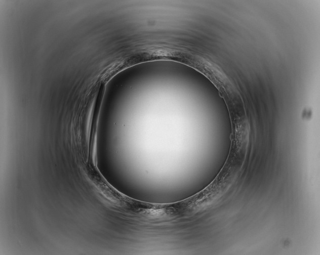X0000099290406200805021236