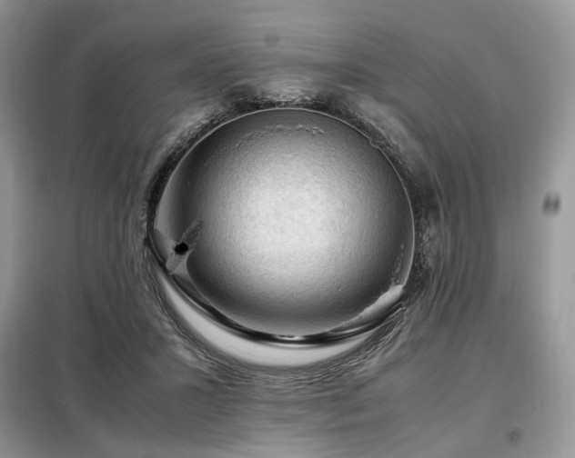 X0000099290407200805021236