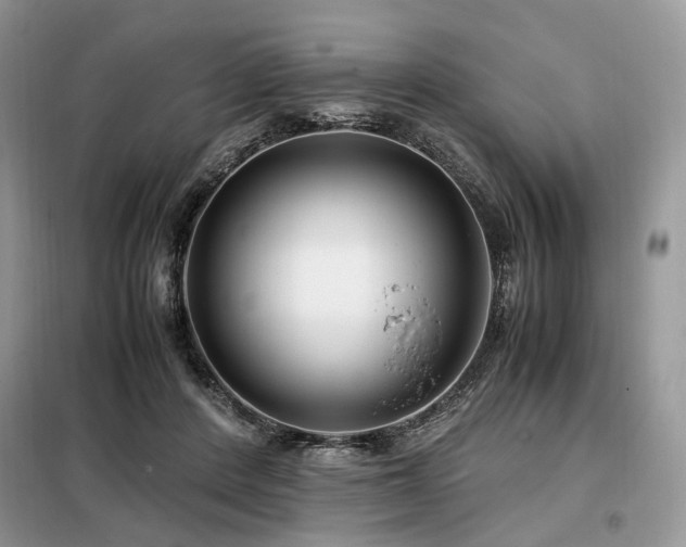 X0000099290408200805021236