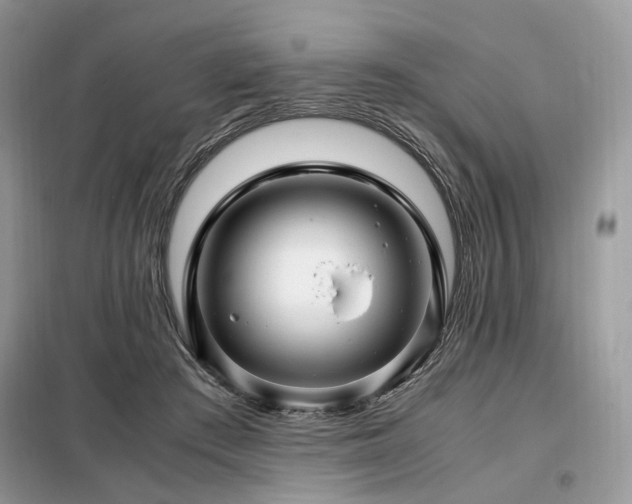 X0000099290409200805021236
