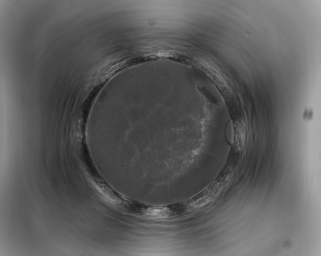 X0000099290410200805021236
