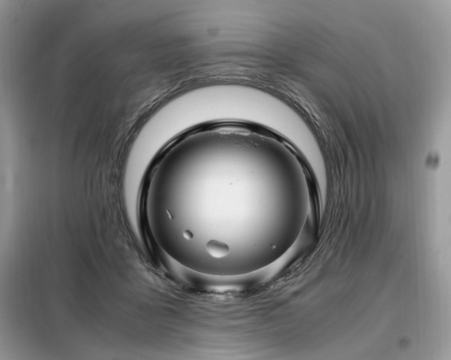 X0000099290411200805021236
