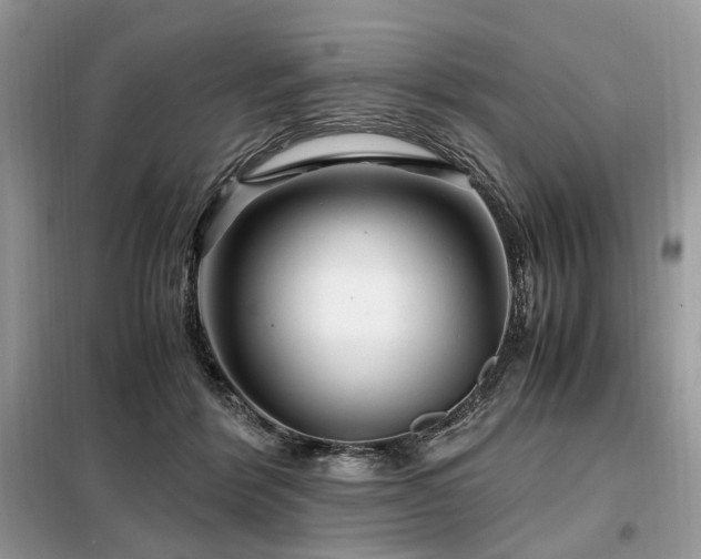 X0000099290412200805021236