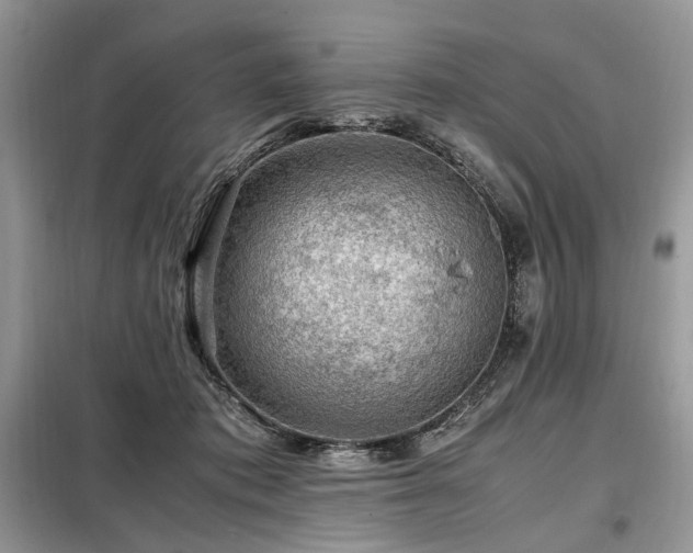 X0000099290413200805021236